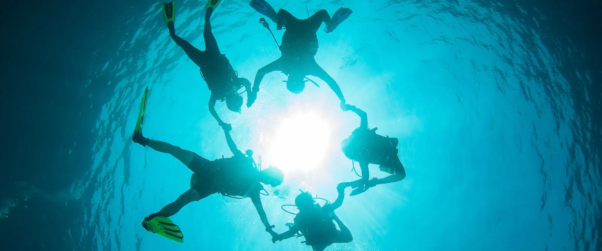 Socios y Afiliados: ganen un ingreso extra por promover los tures de buceo en crucero vida a bordo